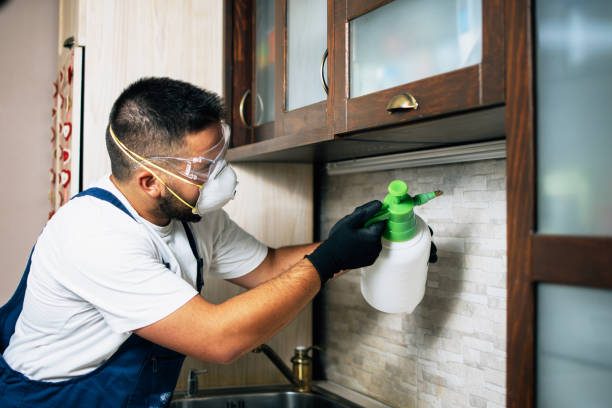 Pest Prevention Services in Pandora, OH