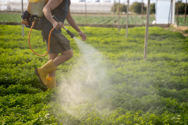 Best Local Pest Control Services  in Pandora, OH