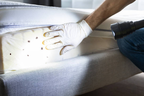 Best Exterminator Services  in Pandora, OH