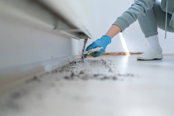 Best Wildlife Control Services  in Pandora, OH